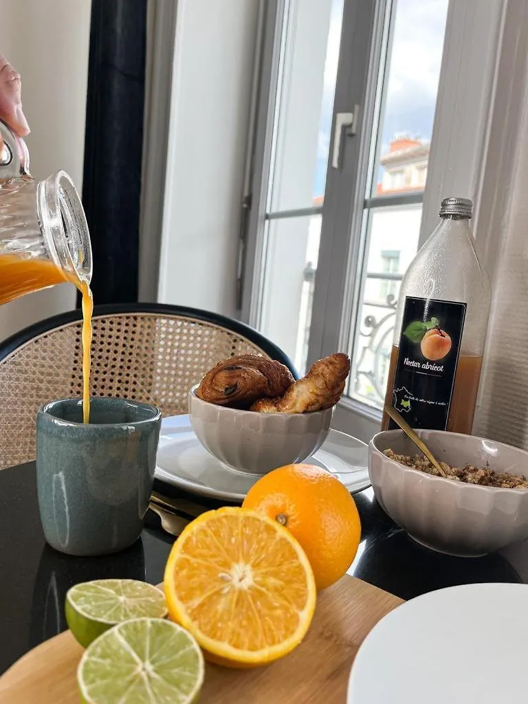 Apartment Suite Atthos Lyon